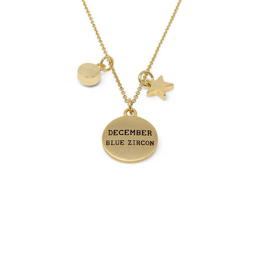 Birthstone Necklace December Gld Pl - Mimmic Fashion Jewelry