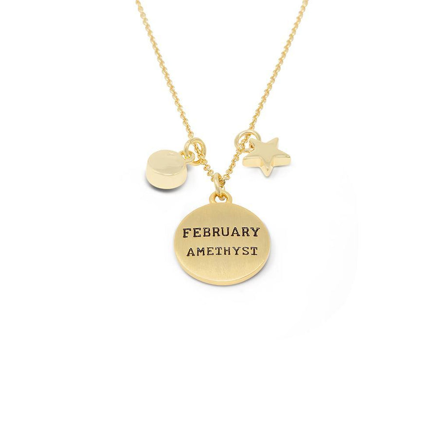 Birthstone Necklace February Gld Pl - Mimmic Fashion Jewelry