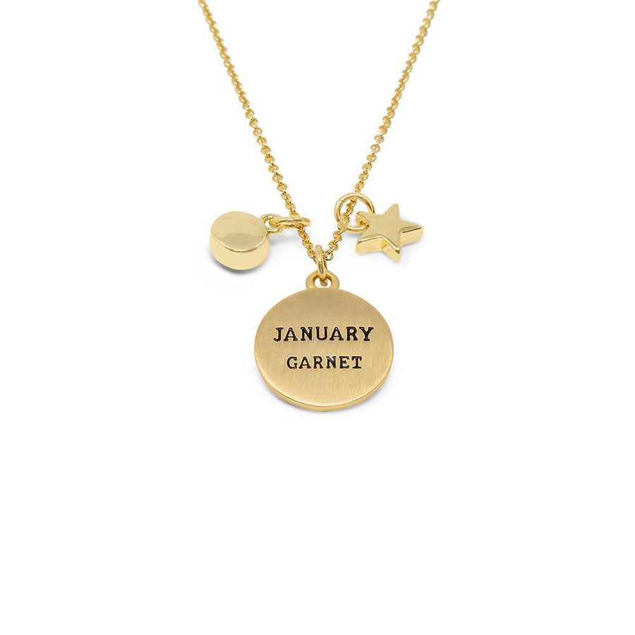 Birthstone Necklace January Gld Pl - Mimmic Fashion Jewelry