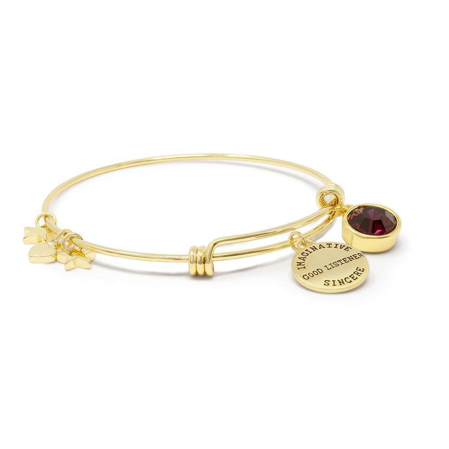 Handmade 20KT GoldPl Crystal Birthstone Br FEB - Mimmic Fashion Jewelry