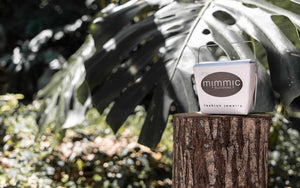 Mimmic take out box resting on top of a tree stump, with palm leaves and green plants in the background.