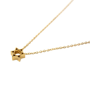Stainless St Star of David Necklace Gold Pl - Mimmic Fashion Jewelry