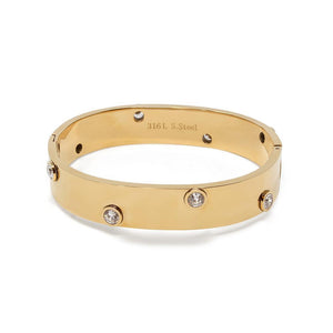 Stainless Steel Hinged Bracelet with Crystal Gold Plated - Mimmic Fashion Jewelry