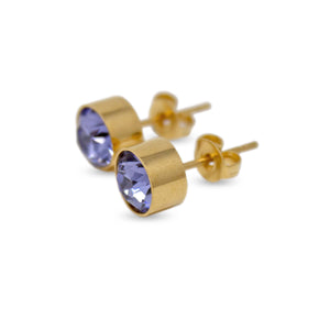 Stainless Steel Stud Earring February Birthstone Gold Plated - Mimmic Fashion Jewelry